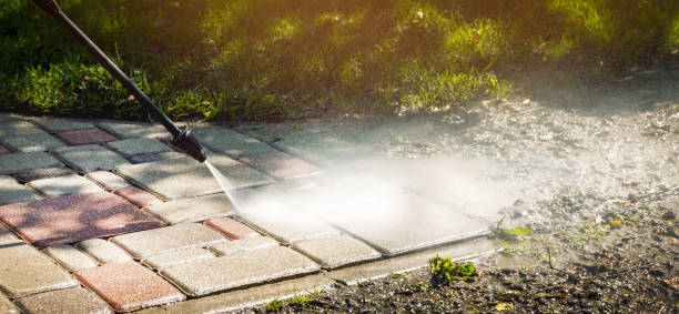 Best House Exterior Washing  in Watseka, IL