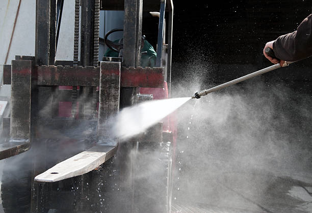Best Dumpster Area Cleaning  in Watseka, IL